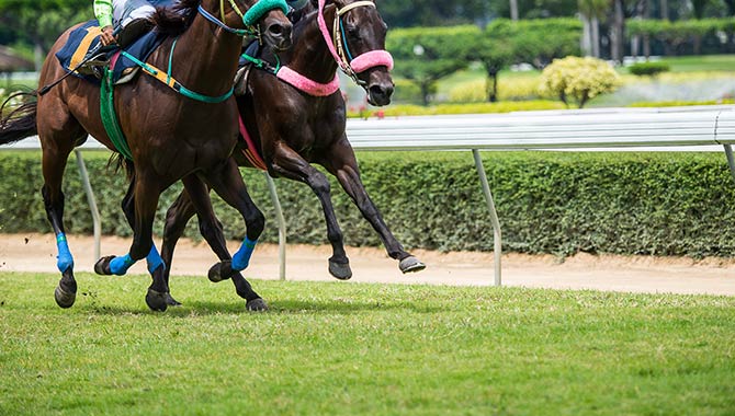 italian horse racing na gi